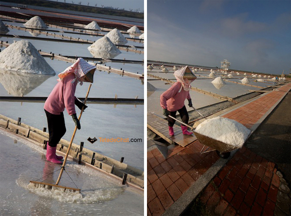 salt_workers